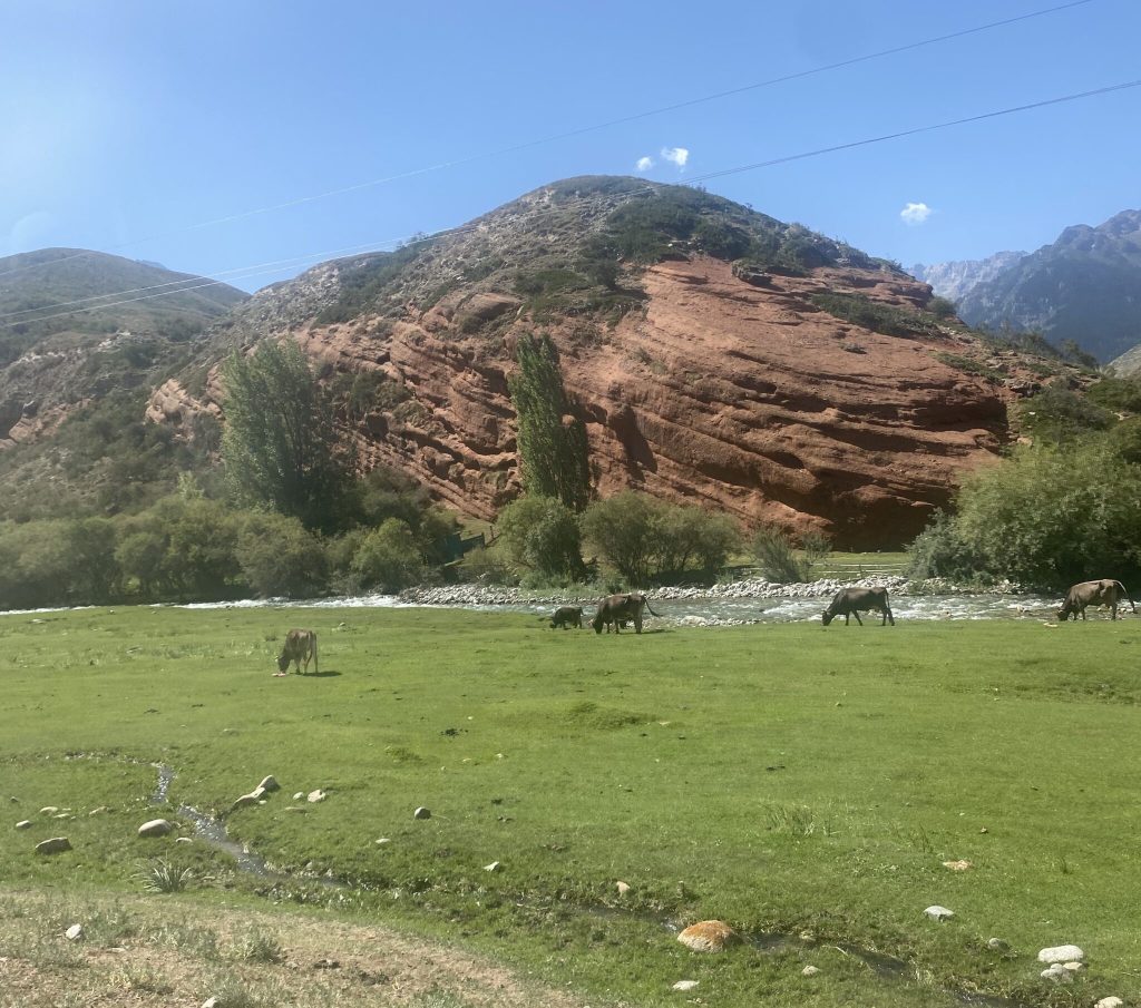 The Kyrgyz countryside