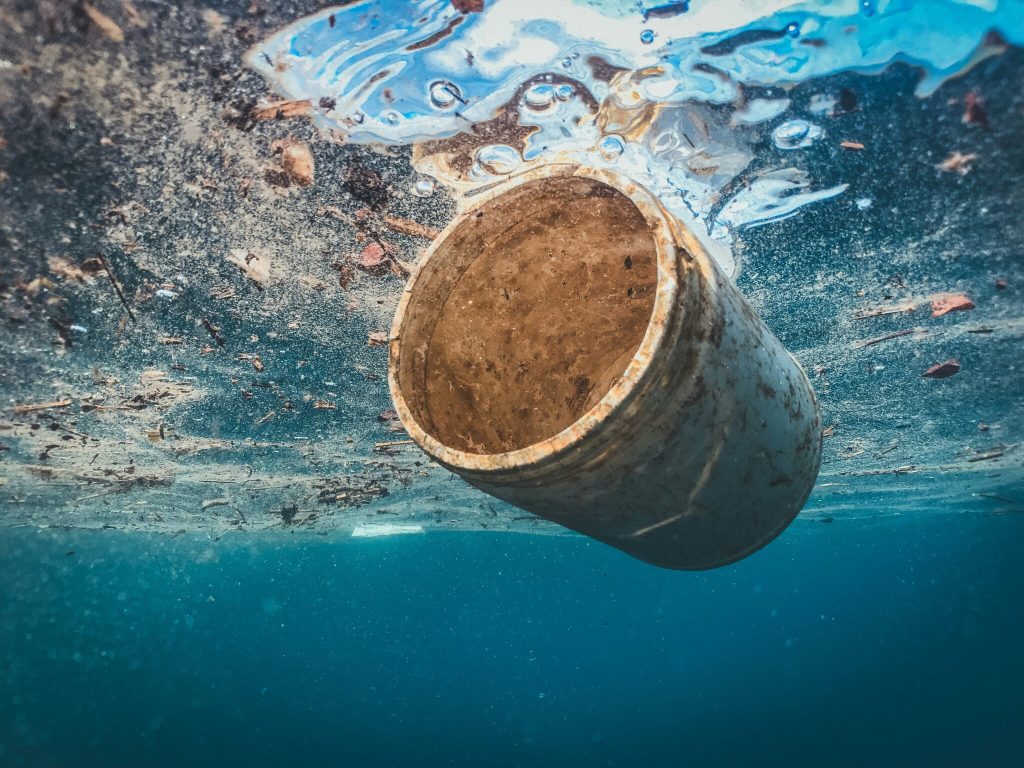 Oceans have been damaged by pollution