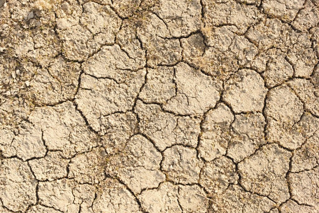 High temperatures and other extreme weather patterns can have a devastating impact on many communities