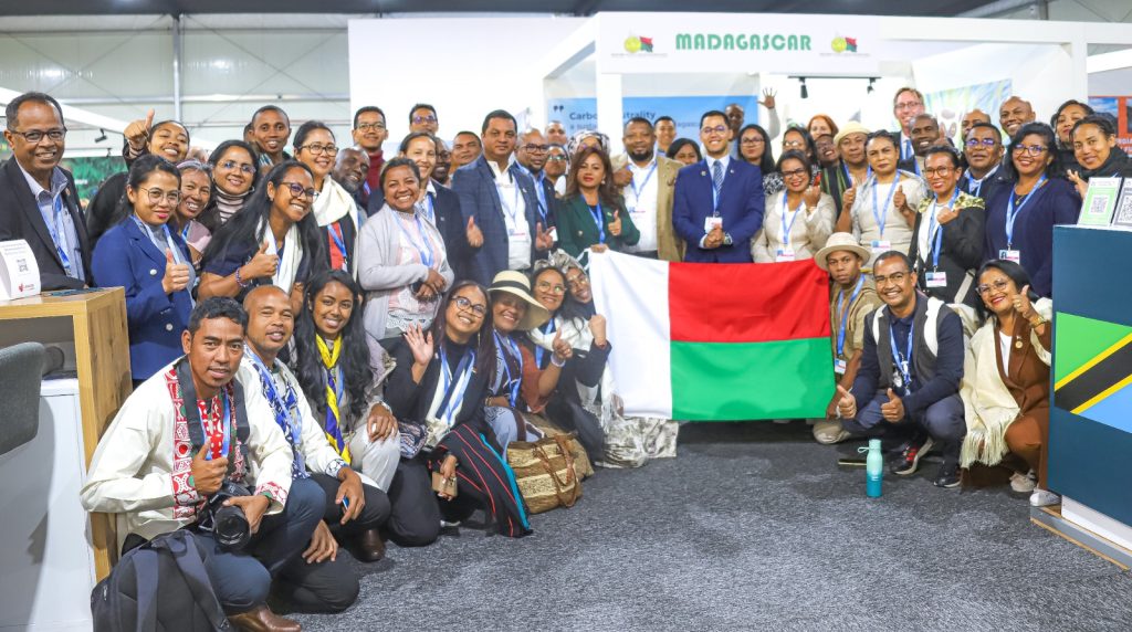 The Madagascan delegation at COP29