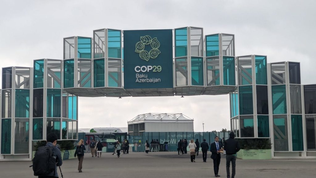 COP29