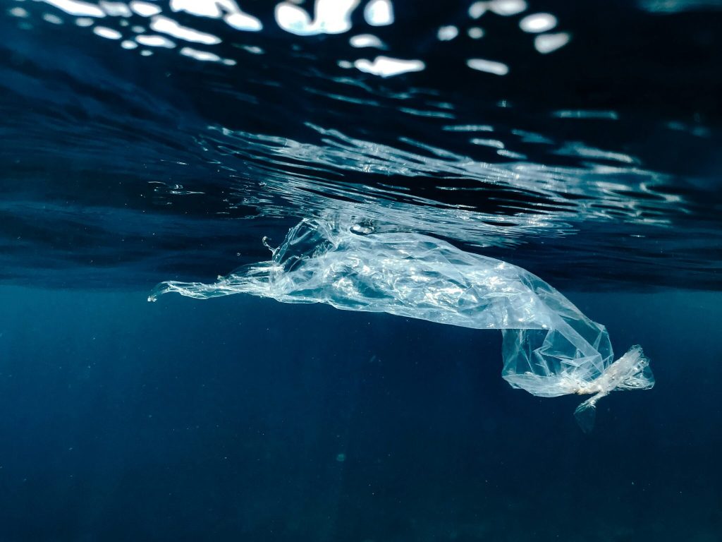Ban on plastic bags