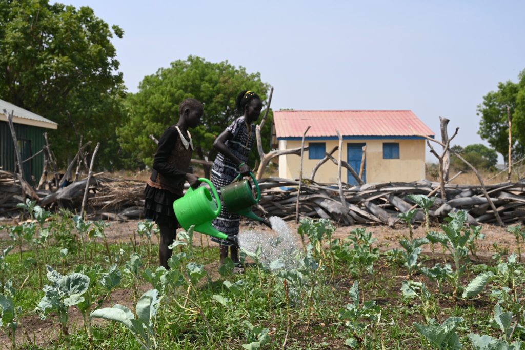 Multi-Educational and Agricultural Jesuit Institute