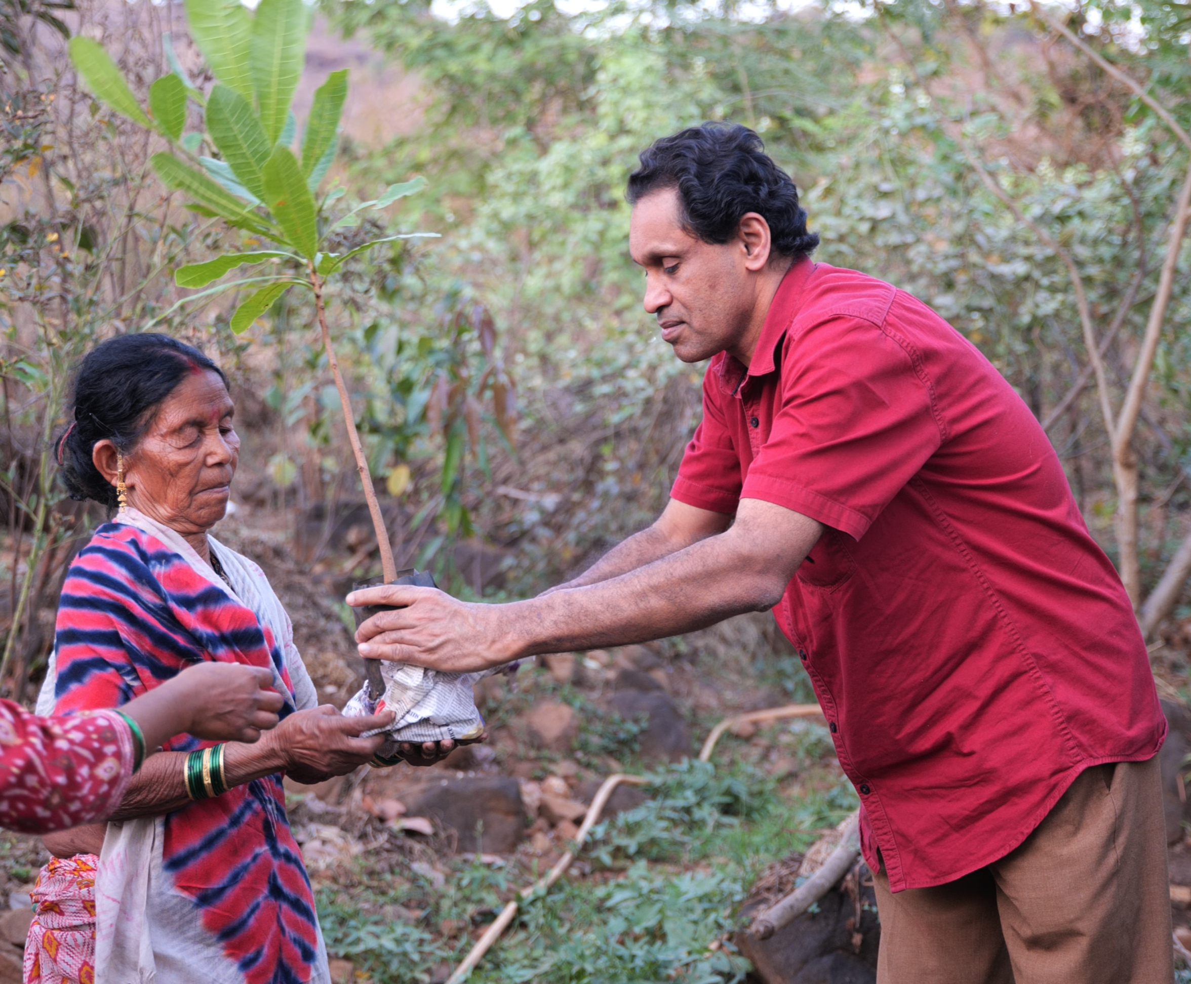 Man handing over a sapling to a woman
